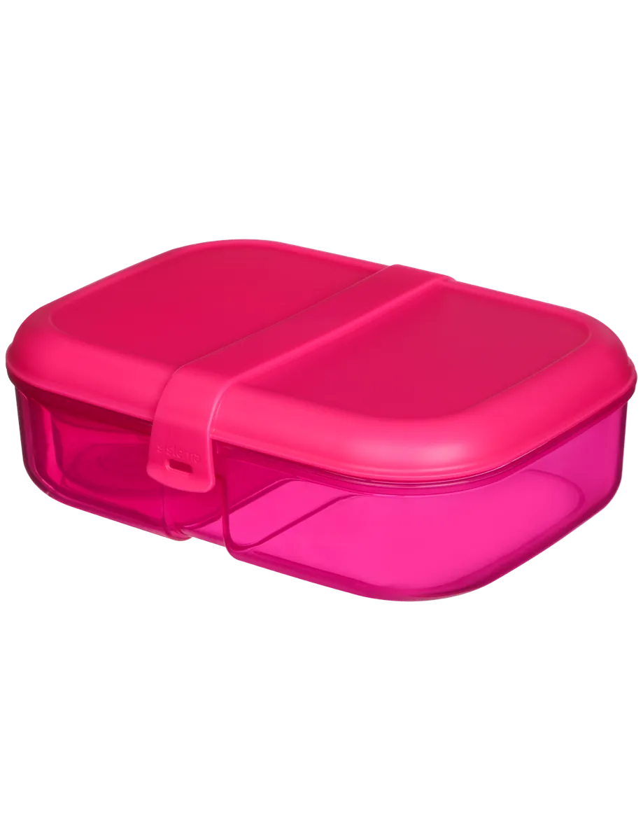 קופסת אוכל צבעונית מחולקת 1.1 ליטר  - סיסטמה Sistema