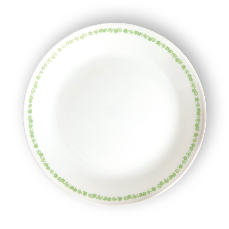  צלחות קורנינג קורל דגם (007) Corning Corelle - Spring Blossom Green 